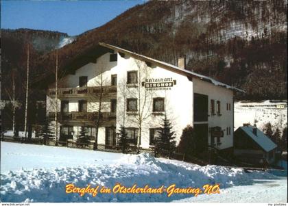 70873467 Gaming Gaming Hotel Restaurant Berghof oetscherland x