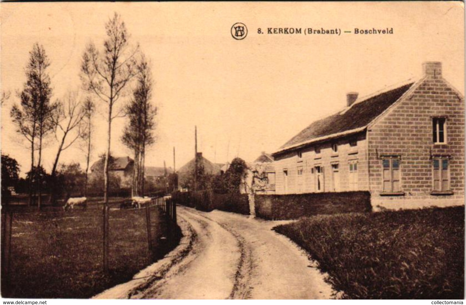 oude postkaart   Kerkom Boschveld Brabant   - ed. WALSCHAERTS