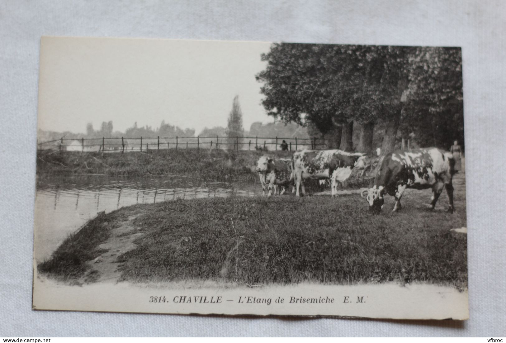 P246, Chaville, l'étang de Brisemiche, Hauts de Seine 92