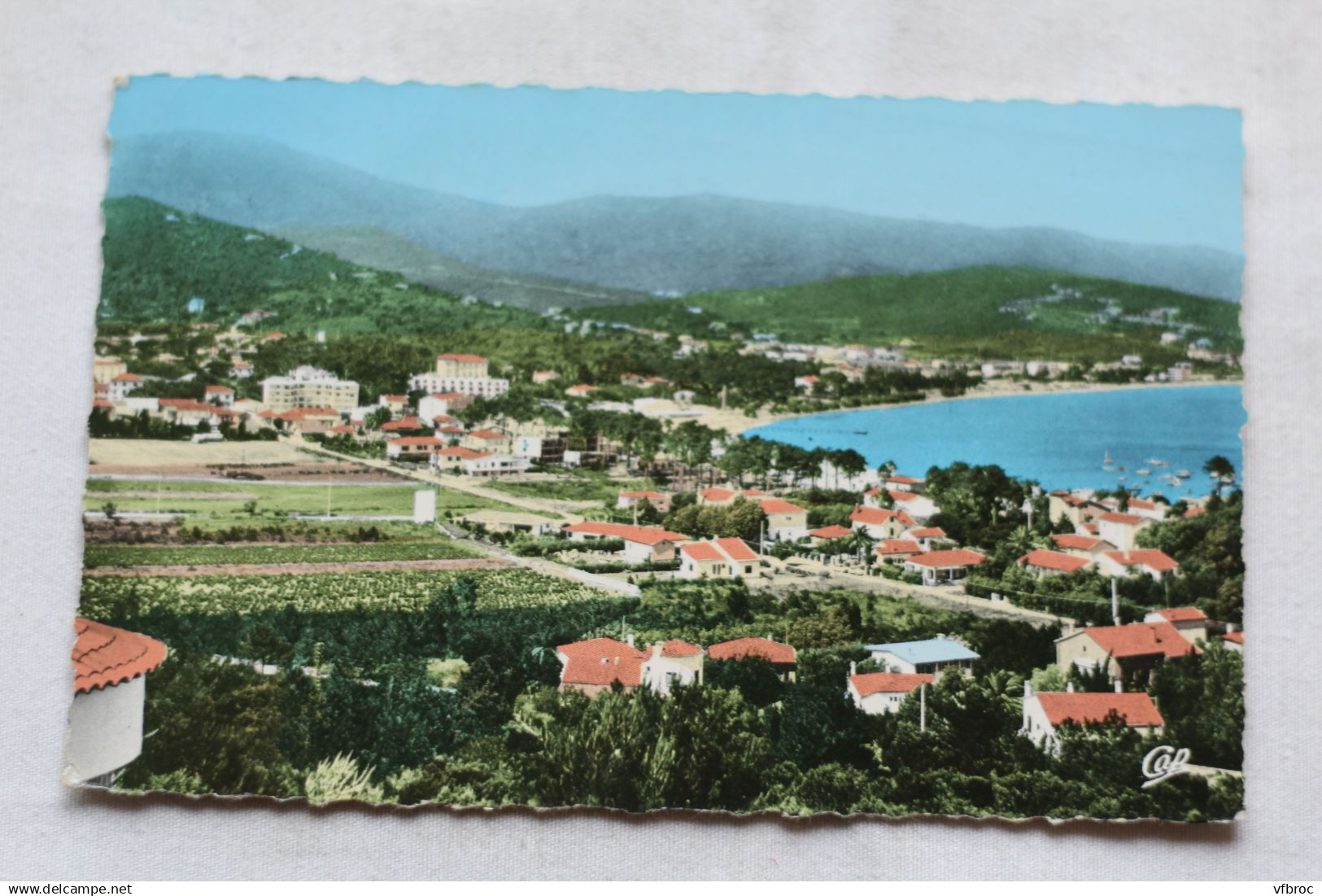 P254, Cpsm 1966, Cavalaire sur mer, vue générale, Var 83