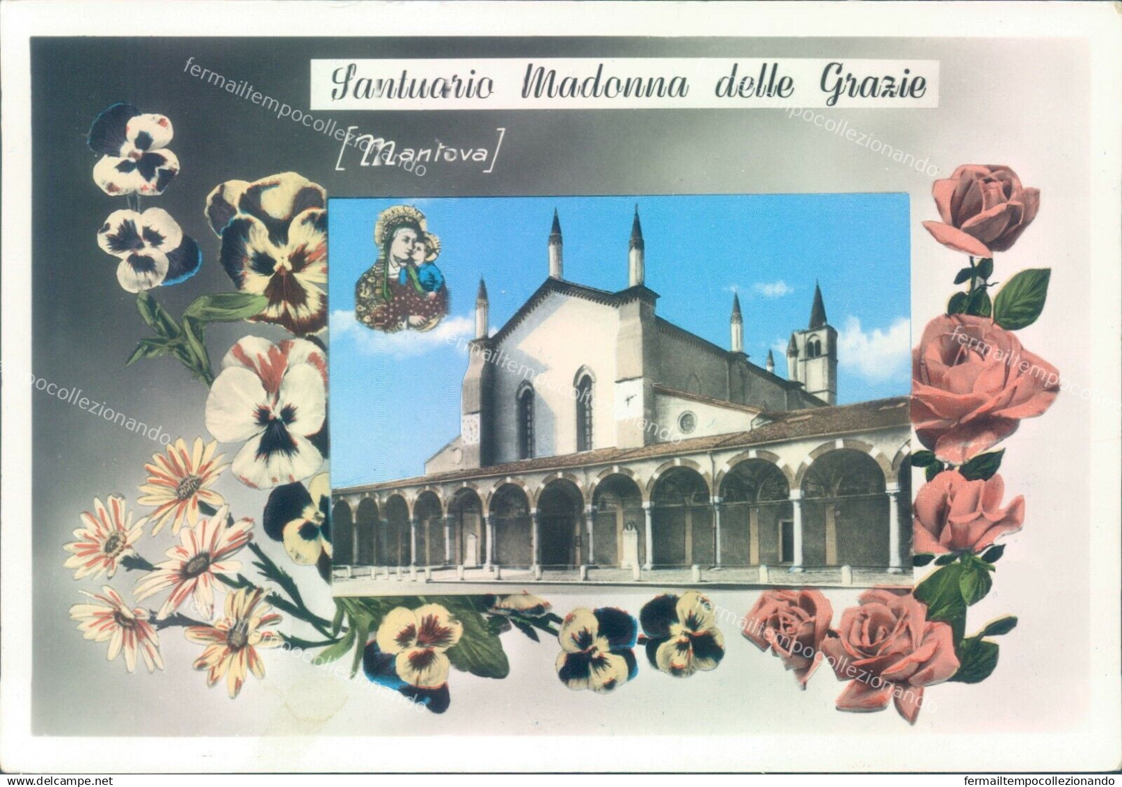 p29 cartolina mantova citta'  mantova santuario madonna delle grazie