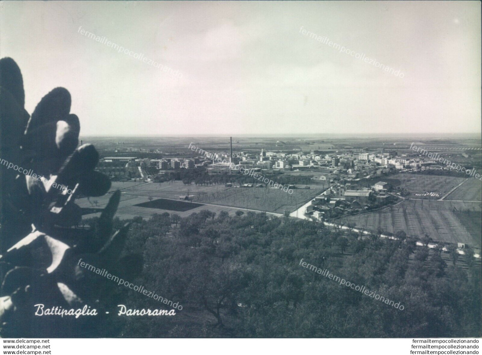 p757 cartolina battipaglia panorama provincia di salerno