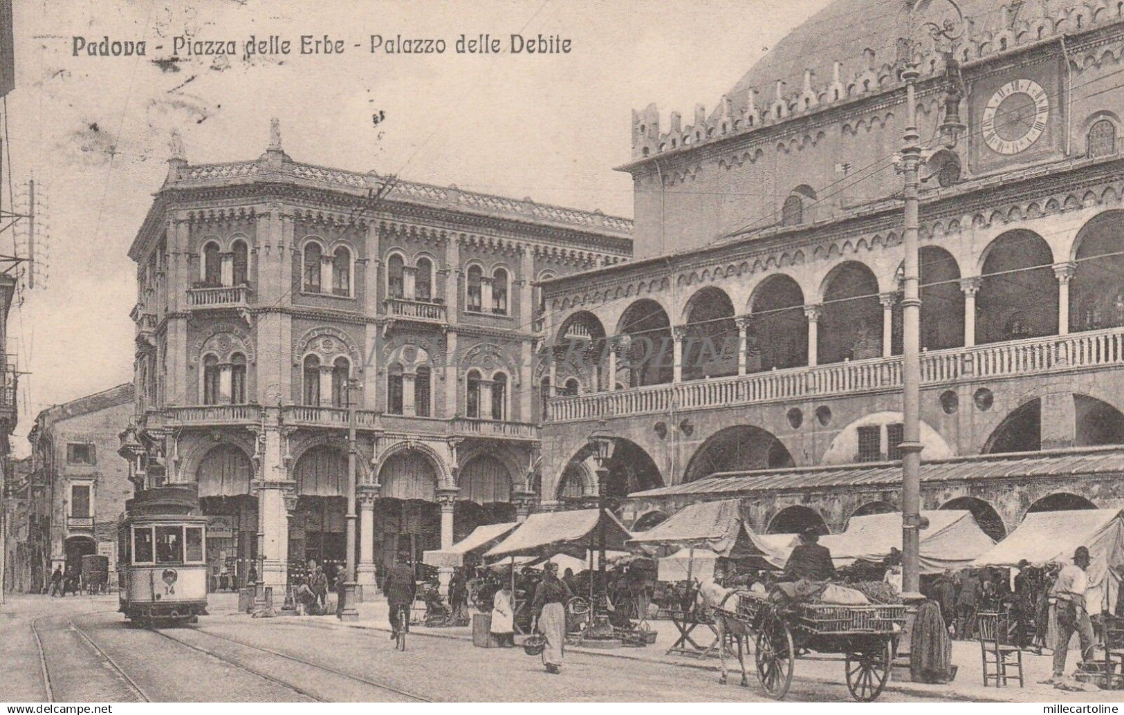 PADOVA - Piazza delle Erbe - Palazzo delle Debite