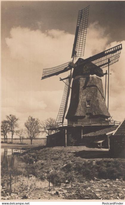 Ommen Korenmolen Windmill Den Oord Dutch Old Postcard