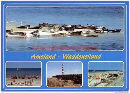 Ameland - Waddeneiland