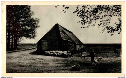 Ede - Schaapskooi op de Ginkel