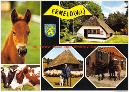 Ermelo