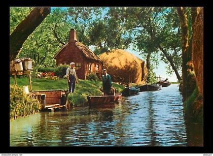 Pays-Bas - Nederland - Giethoorn - Mooi Giethoorn - CPM - Voir Scans Recto-Verso