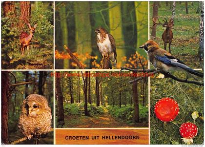 Groeten uit Â… - Hellendoorn