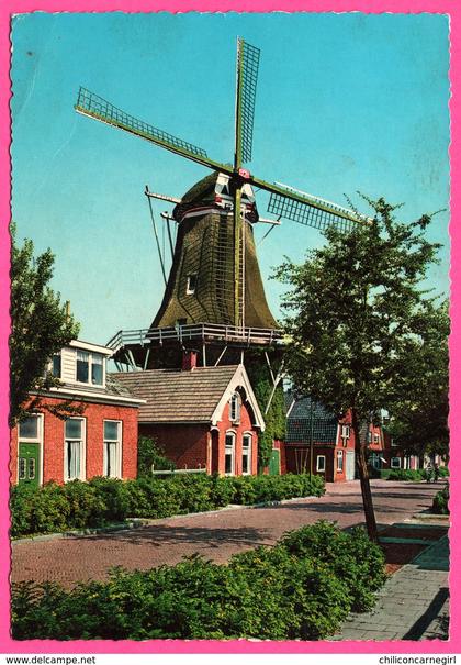 Nederland - Hoogeveen - Molen in de van Echtenstraat - Moulin - Molen - MUVA - 1977