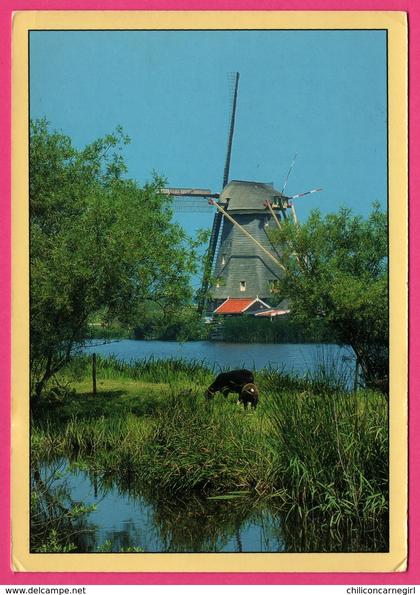 Nederland - Molen te Kinderdijk - Moulin à vent - Molen - 1998 - Foto JAN SLEURINK