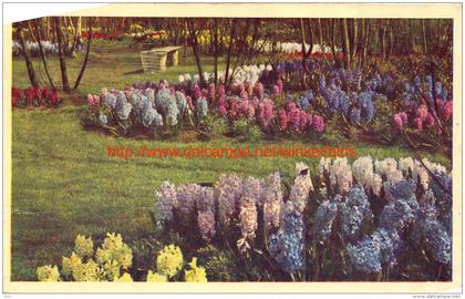 1952 Keukenhof - Lisse