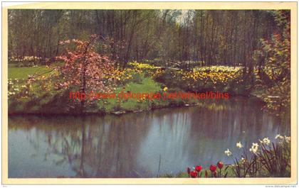 1952 Keukenhof - Lisse