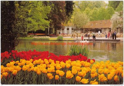 Keukenhof - Lisse