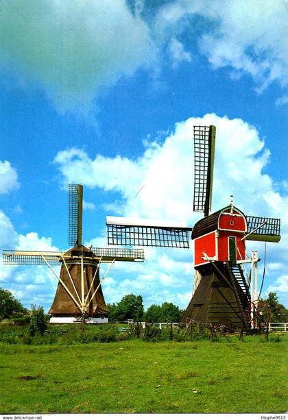 PAYS-BAS. Carte postale écrite. Moulins à vent de Maarssen.