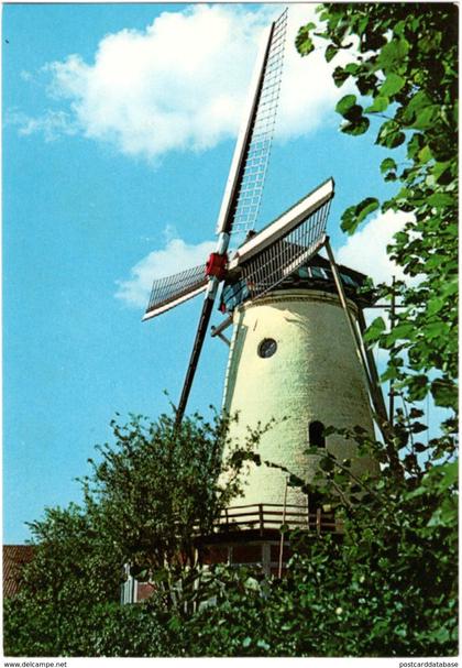 Panorama molen Rhenen - & windmill