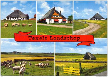 Landschap - Texel