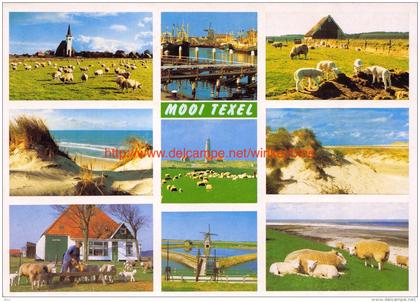 Texel