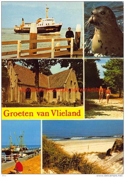 Groeten van Â… - Vlieland