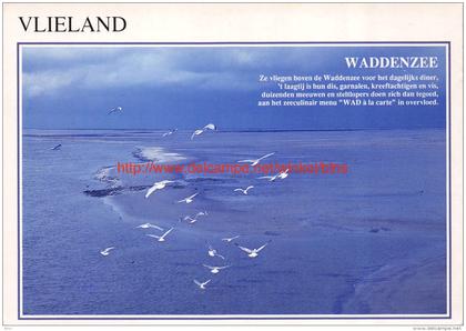 Waddenzee - Vlieland