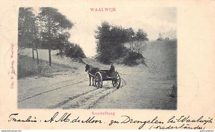 Nederland - WAALWIJK - Roestelberg