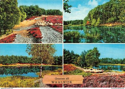 PAYS-BAS - Groeten uit Waalwijk - mutlivues - Carte Postale