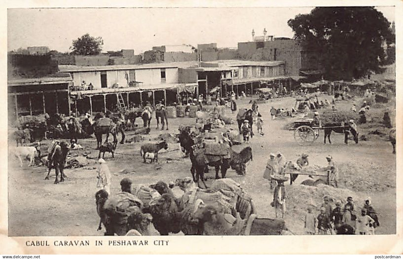 Pakistan - Kabul caravan in Peshawar City