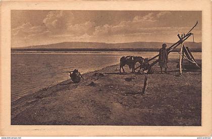 Palestine - Dead Sea - Publ. unknown