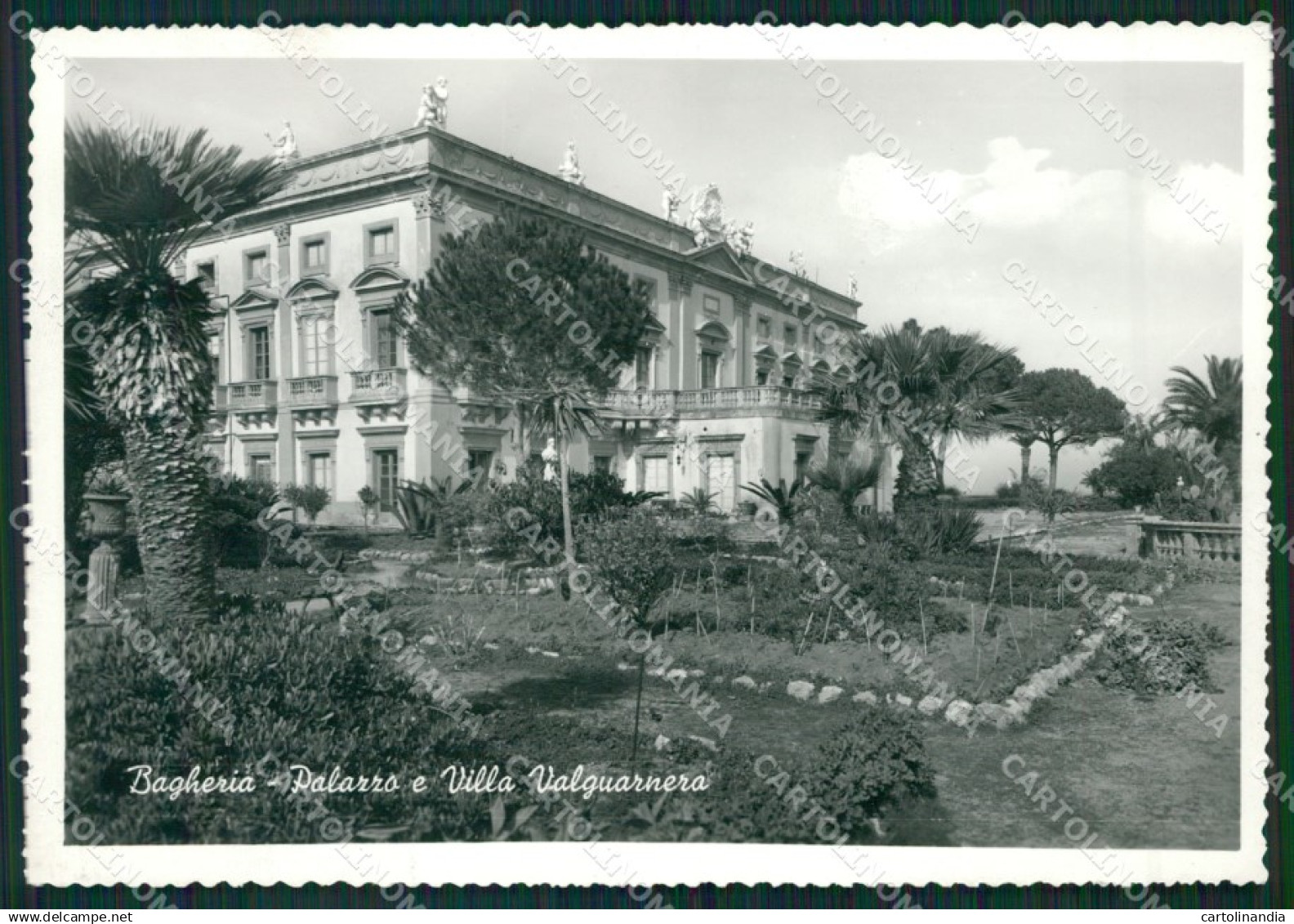 Palermo Bagheria Foto FG cartolina ZK3478