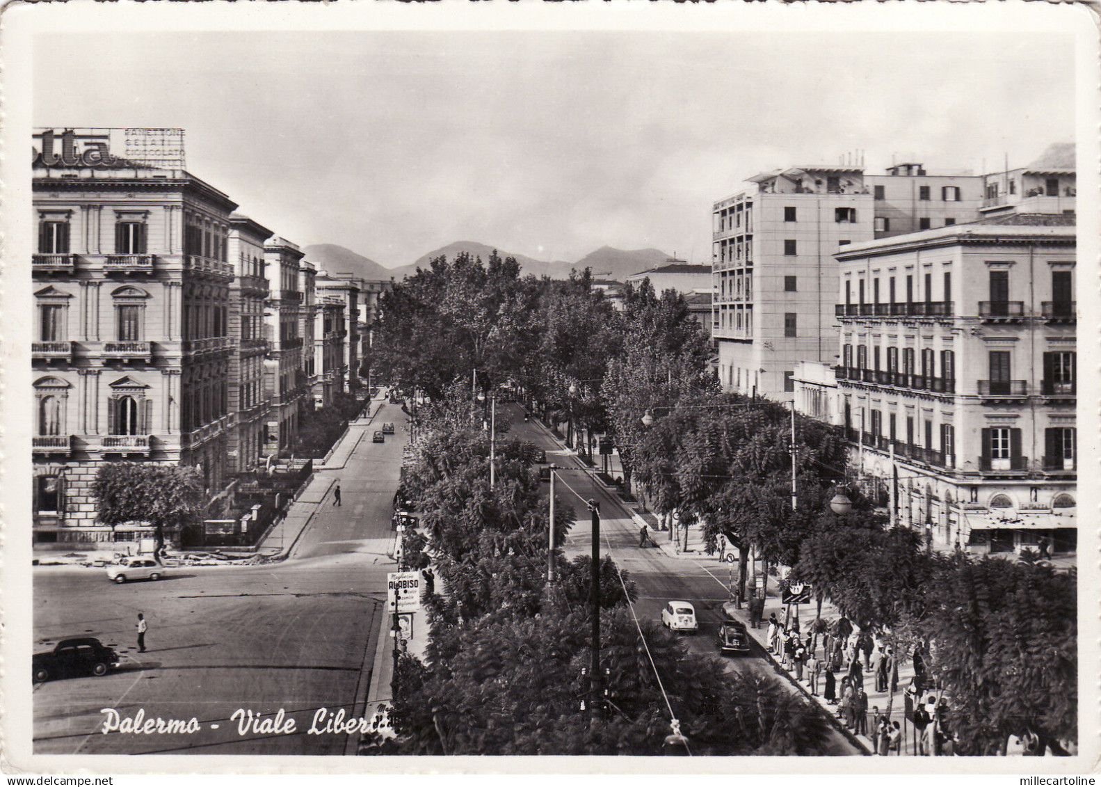 #PALERMO: VIALE LIBERTA'