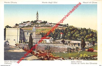 Mount of Olives - Palestina