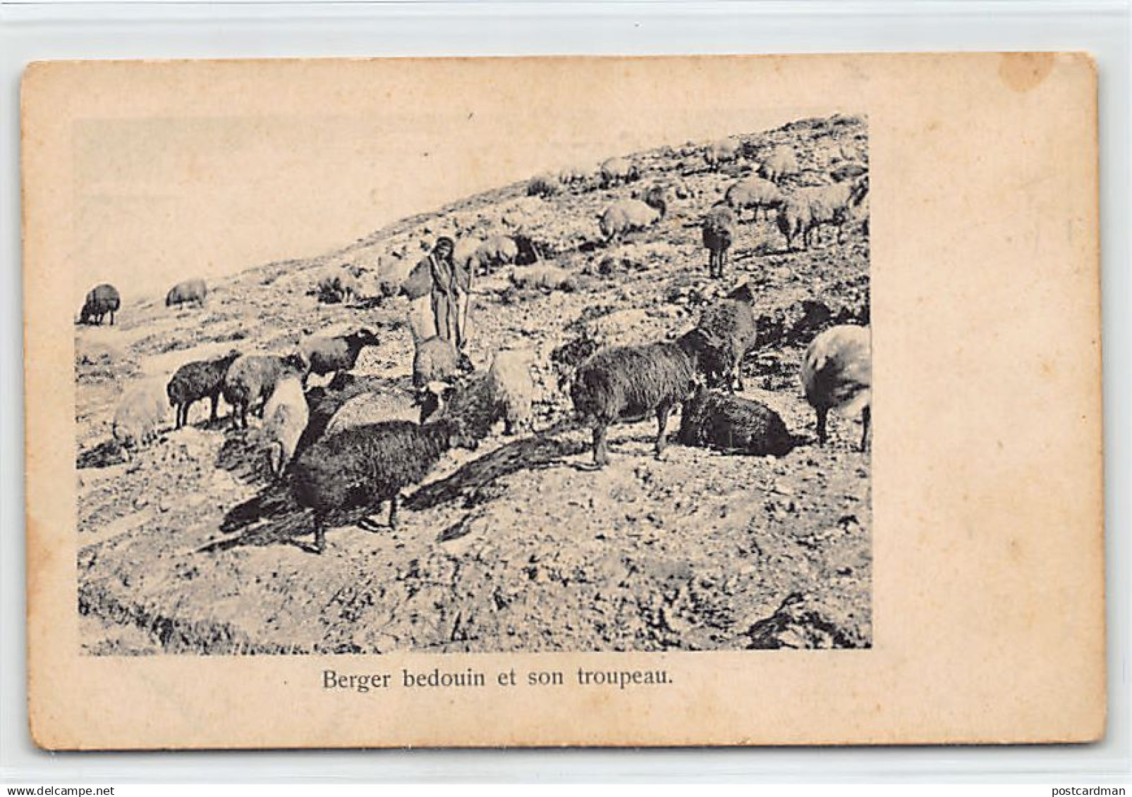 Palestine - Bedouin shepherd and his flock - Publ. unknown