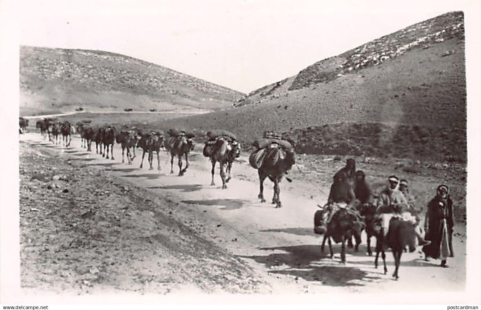 Palestine - Beduin camels - Publ. Photo Leon