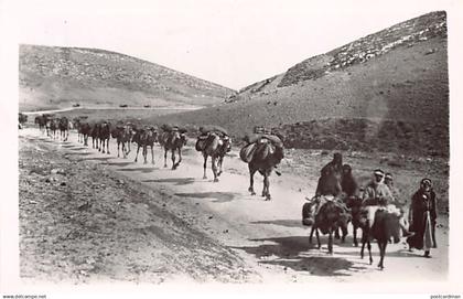 Palestine - Beduin camels - Publ. Photo Leon