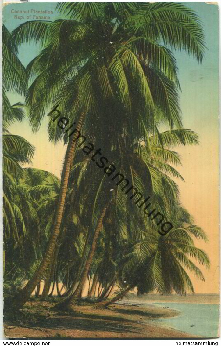 Panama - Coconut Plantation - Verlag I. L. Maduro Jr. Panama