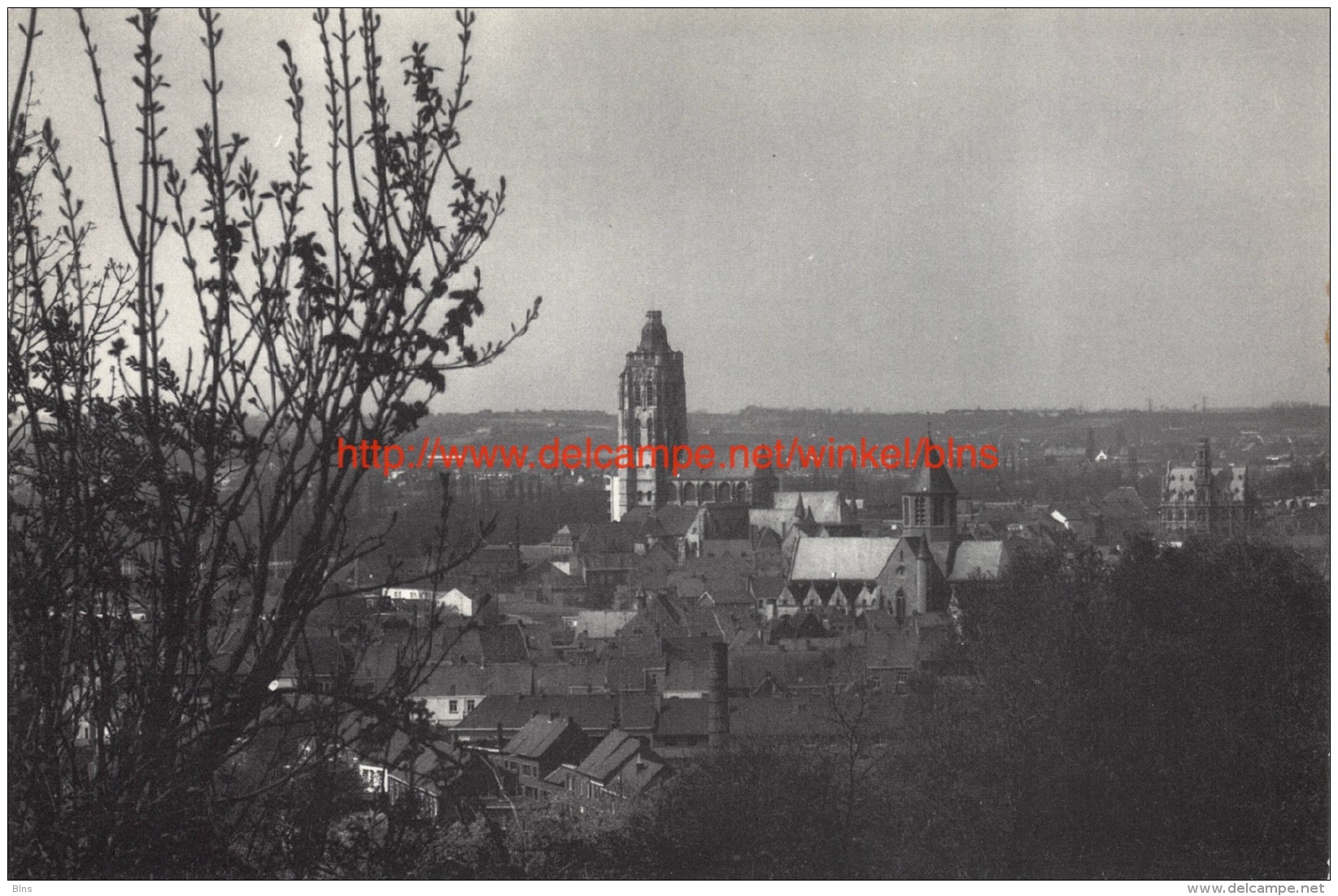 Panorama - Oudenaarde