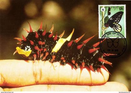 Papua New Guinea, Queen Alexandra's Birdwing Larva Butterfly Postcard (1988)