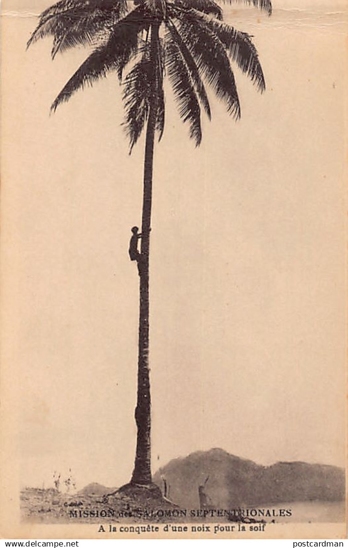 Papua New Guinea - Picking coconuts - Publ. Mission des Salomon Septentrionales