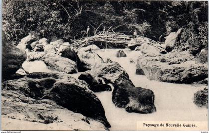 OCEANIE --  Papouasie  - NOUVELLE GUINEE - Paysage