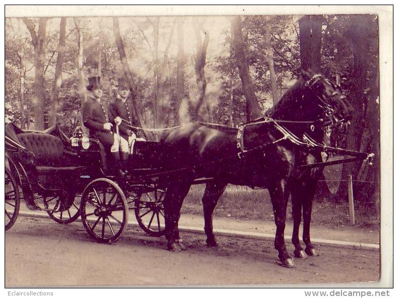 Paris    Fiacre  Attelage cheval  (Carte photo)