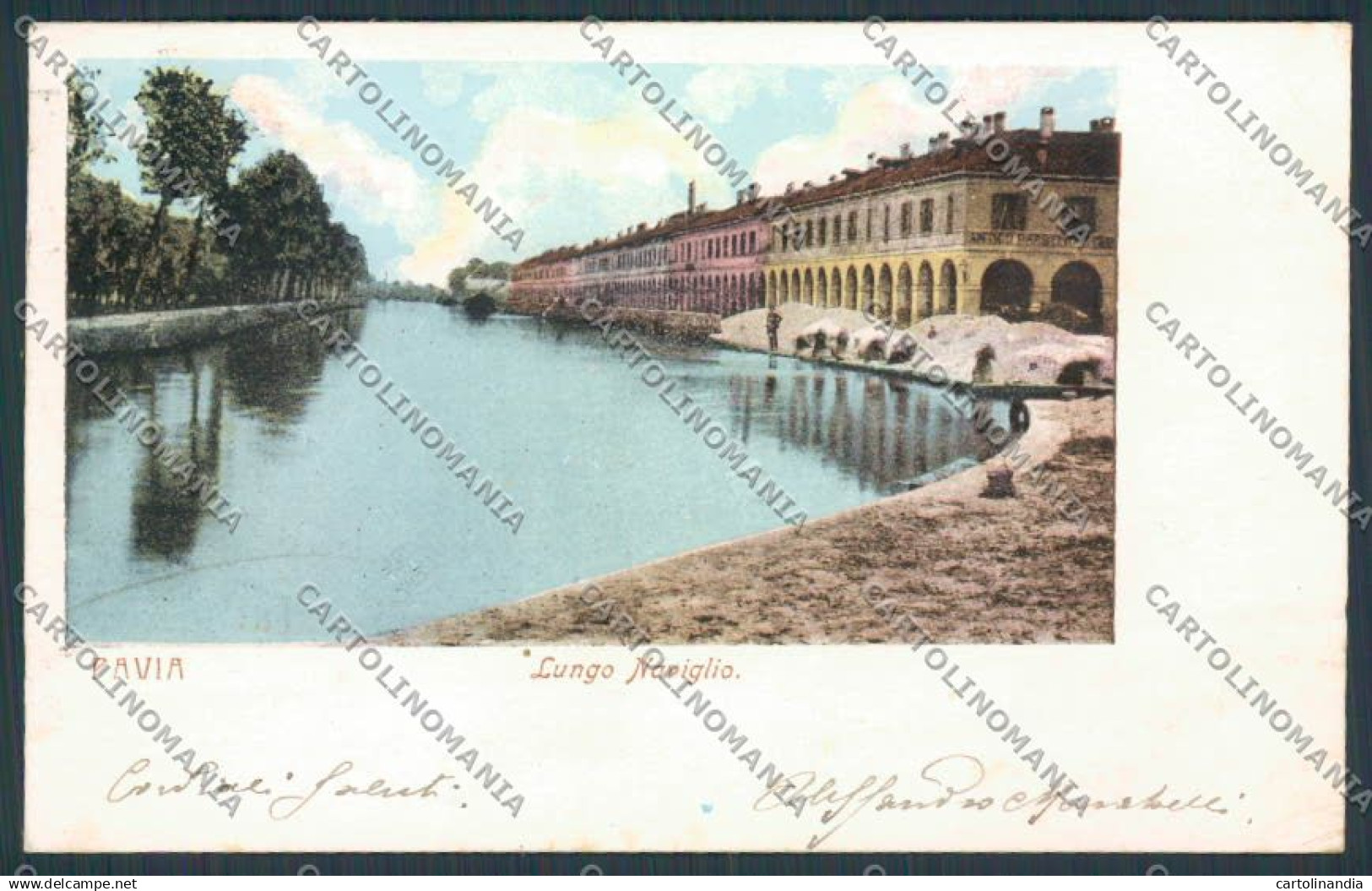 Pavia cartolina RB1455