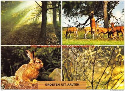 Groeten uit Â… - Aalten