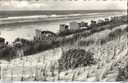 71896162 Renesse Strand Duenen