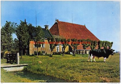 Friese boerderij - Friesland