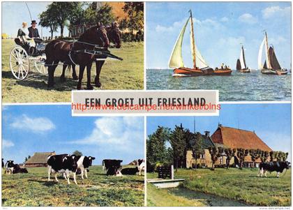 Friesland