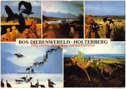 Bos dierenwereld - Holten