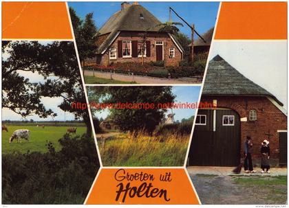 De Borkeld - Erve Deijk - Molen Dijkerhoek - Holten