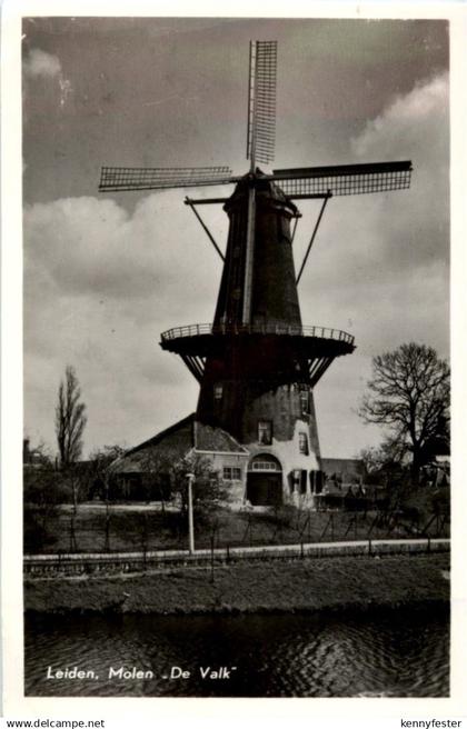 Leiden - Molen