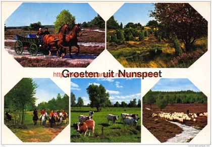 Groeten uit Â… - Nunspeet