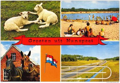 Groeten uit Â… - Nunspeet